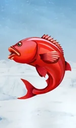 Ice Fishing