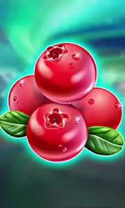Winterberries